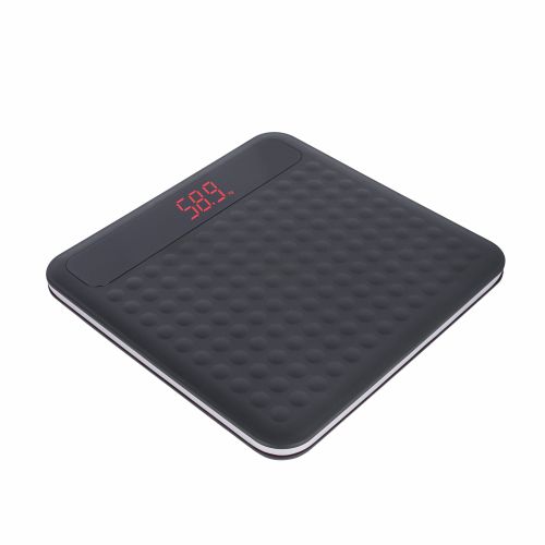 Digital Weighing Scale1